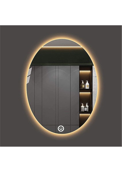 80X100 cm Dokunmatik Tuşlu Elips Ledli Ayna Banyo Aynası Dekoratif Ayna Boy Ayna Salon Duvar Ayna fiyatları