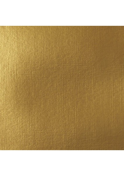 : Professional Soft Body : Akrilik Boya : 59 ml : Iridescent Rich Gold 235 S2 fiyatları