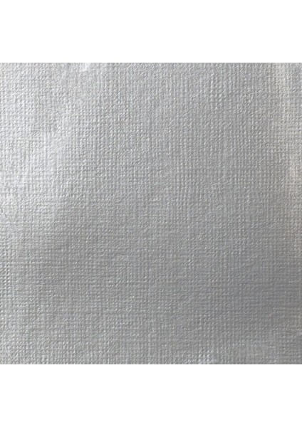 : Professional Soft Body : Akrilik Boya : 59 ml : Iridescent Bright Silver 236 S2 fiyatları