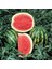 Karpuz Tohumu Crimson Sweet - 25 Adet 1