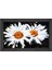 Çift Papatyalar Çiçekler Tablosu-Siyah Ahşap - 40X60 1