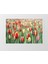 Gül Bahçesi Çiçekleri Tablosu-Çerçevesiz - 30 x 30 1