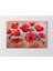 Gelincik Çiçekleri Tablosu-Çerçevesiz - 40 x 60 1