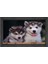 Kurt Köpekleri Tablosu-Siyah Ahşap Çerçeve - 50 x 70 1