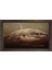 Köpek Balığı Tablosu-Kahverengi Ahşap - 50 x 70 1