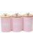 Mutfak Metal Baharat Baharat Teneke Kutu Set Çay Şeker Kavanoz Konteyner Pembe 1