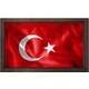  Renk Akçaağaç