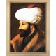  Renk Akçaağaç