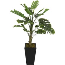 Yapay Çiçek Deposu Kalın Gövdeli Yapay Deve Tabanı Ağacı 170 cm ( Monstera Deliciosa)
