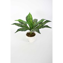 Yapay Çiçek Deposu Beton Saksıda Uzun Yapraklı Yapay Bitki 42 cm Model-9
