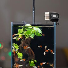 Otomatik Balık Besleyici Akıllı Akvaryum Kaplumbağası Zamanlı 12/24 Saat Bir Kez Beslenir