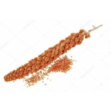 Mama Expres Kızıl Dal Darı 1 kg