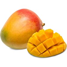 Yavuz Fidancılık Mango Fidanı 1 YAŞ 20 CM