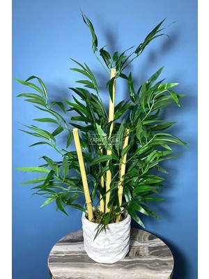 Yapay Çiçek Deposu Beton Saksıda Bambu Ağacı Koyu Yeşil 65 cm (Yosunlu Model)
