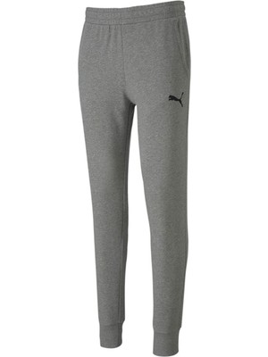 Puma 65658233 Teamgoal 23 Casuals Pants Erkek Eşofman Altı Gri