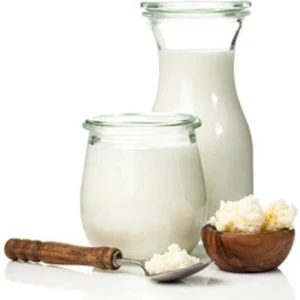 İpek Gurme Çoğalabilir Ev Yapımı Kefir Mayası 660 cc