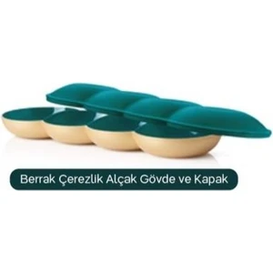 Berrak Çerezlik Alçak Gövde ve Kapak