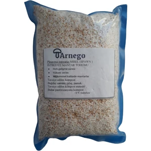 Istiridye Mantar Tohumu 500 Gram