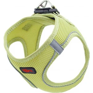 Algae Green M