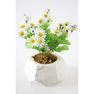 Yapay Çiçek Deposu Dekoratif Beton Saksıda Papatya Tanzimi 20 Cm
