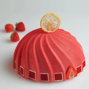 Pastry Planet Büyük Dome Silikon Kalıp