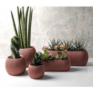 Temmuz Home Karasu Mercan Saksı Seti 5 Parça
