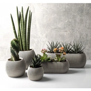 Temmuz Home Karasu Mercan Saksı Seti 5 Parça