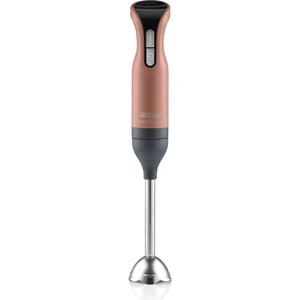 AR1017-AG Prostick 1000 El Blender - Akşam Güneşi