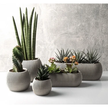 Temmuz Home Karasu Mercan Saksı Seti 5
