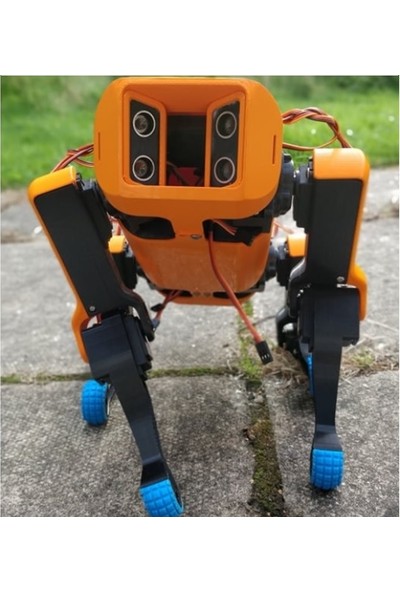 Raspberry Emes Robotik Robot Köpek Kiti
