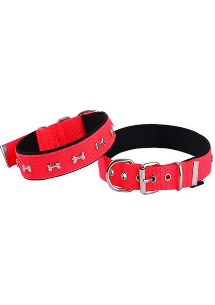 Actirex Neon Kemik Desenli Köpek Boyun Tasması Kırmızı M 2.5X42-50 cm