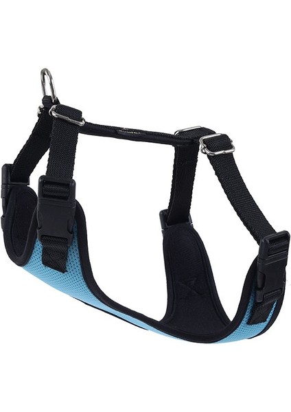 Actirex Neon Cool Köpek Göğüs Tasması Mavi M 45X55 cm