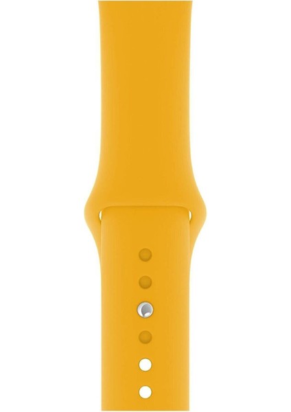 Apple Watch Kordon 1 2 3 4 5 6 7 Se Seri 38MM - 40MM Uyumlu Kayış Bileklik Kordon Hardal Sarı