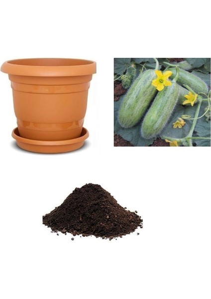 Nadir Tüylü Salatalık Tohumu Ekim Seti