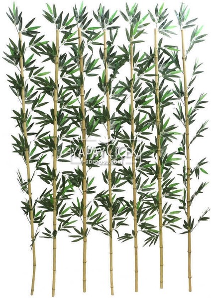 Kumaş Yapraklı Doğal Bambu 180-195 cm (7 Adet)