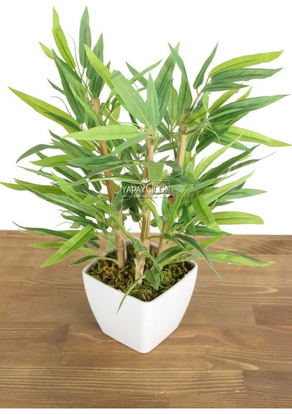 6 Gövdeli Mini Yapay Bambu Ağacı (Beyaz Melamin Saksıda)