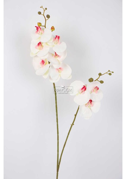 Yapay 3D 2li Islak Orkide Çiçeği 90 cm Beyaz-Pembe