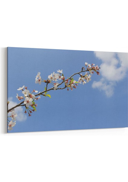 10960Y Ağaç Görseli Yatay Kanvas Tablo