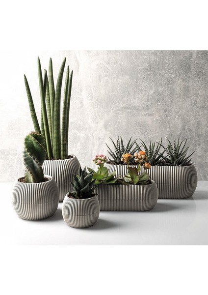 Karasu Mercan Saksı Seti 5 Parça