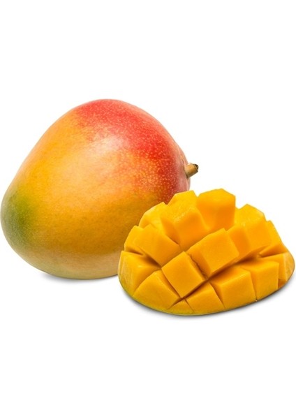 Yavuz Fidancılık Mango Fidanı 1 YAŞ 20 CM