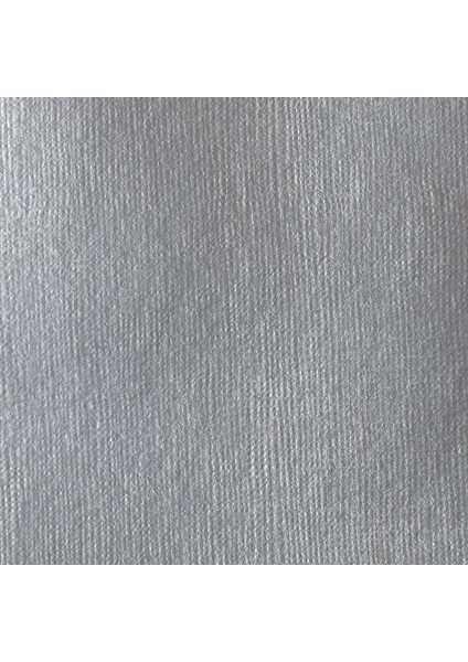 : Professional Soft Body : Akrilik Boya : 237 ml : Iridescent Rich Silver 239 S2 modelleri