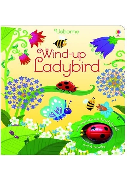 USB - Wind - Up Ladybird - Fiona Watt (Ciltli)