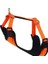 Actirex Neon Cool Köpek Göğüs Tasması Turuncu L 50X70 cm 1