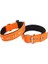 Actirex Neon Kemik Desenli Köpek Boyun Tasması Turuncu M 2.5X42-50 cm 1