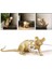 Mouse Desk Lamps Seletti Morden LED Bedside Table Lamp For Home Bedroom Decoration Art Deco Rat Night Lights Eu/au/us/uk Plug(Lying Black) (Yurt Dışından) 2