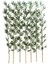 Kumaş Yapraklı Doğal Bambu 180-195 cm (7 Adet) 1