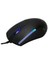 Philips G314 Işıklı Kablolu Oyuncu Mouse Gamer 1200 Dpı 125HZ 3