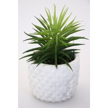 Yapay Çiçek Deposu Dekoratif Beton Saksıda Yapay Sukulent Tanzimi 14CM
