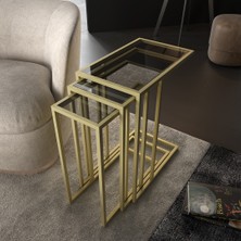 Marsah Home Zigon Sehpa Gold Metal Ayaklı