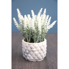 Yapay Çiçek Deposu Tırtıklı Beton Saksıda Yapay Lavanta Tanzimi 20 cm Beyaz
